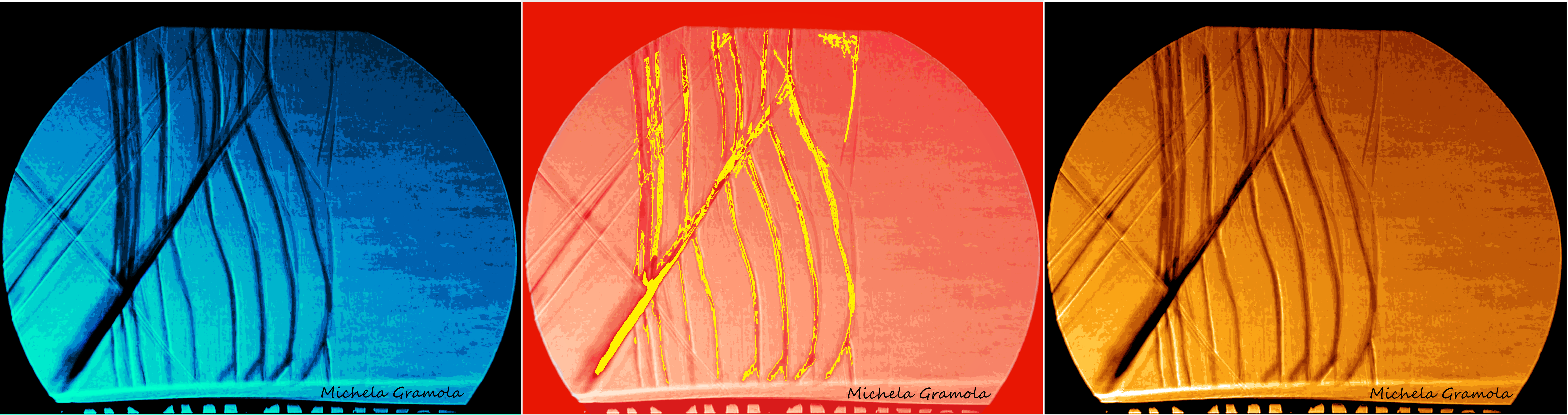 03_Photo.1512131201.png