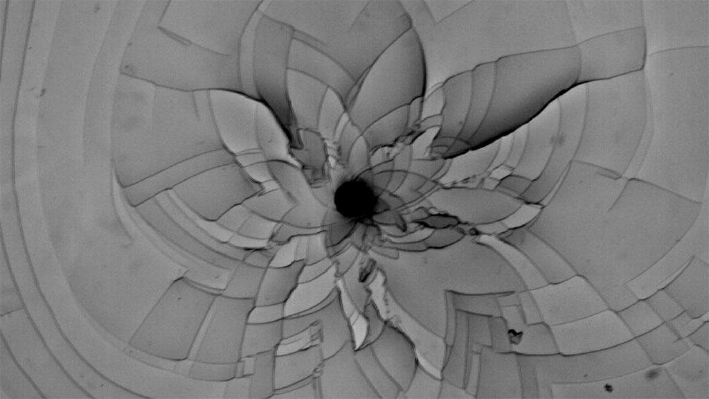 p4a.1_niall_crop2_centred_16to9_1024w.jpg